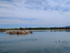 -野鸭湖国家湿地公园