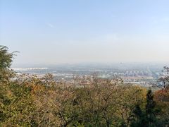 -阳台山自然风景区