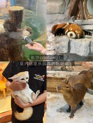 点击看大图 -Zoolung Zoolung动物主题公园(海信广场店)