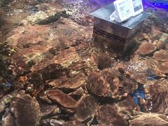 -盒马鲜生(悦峰店)