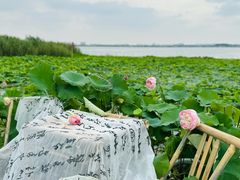 -七的湖·晚芳亭·阳澄湖农家菜·大闸蟹(莲花岛店)