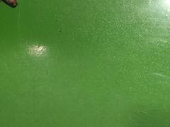 -鹏欣水游城