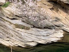-黑龙潭风景区