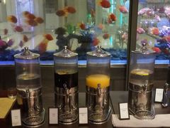 -海口绿发希尔顿酒店-田园汇自助餐·三文鱼·海鲜