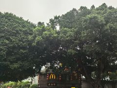 -麦当劳(南后街店)