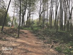 -西湖风景区十里琅珰-五云山