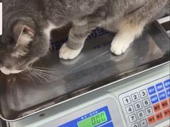 -派美特宠物医院·核磁CT·骨科肿瘤·疑难转诊(沈农禾丰店)