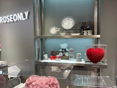 -ROSEONLY诺誓(广州K11店)