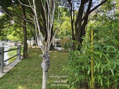 -晓港公园