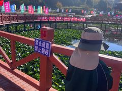 -帽儿山风景区