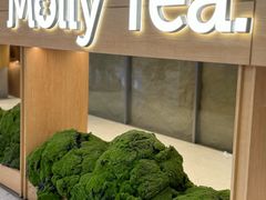 -茉莉奶白(广州动漫星城店)