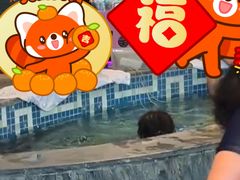 -弘安丽水温泉酒店