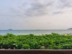 -渔家火锅·海鲜自助餐·演艺(亚龙湾天域酒店)