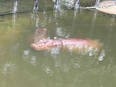 -泉州海丝野生动物世界