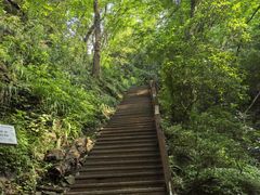 -波尔登森林公园