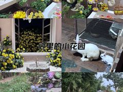 -HERRE·FARM 赫尔露营农场·团建聚会包场