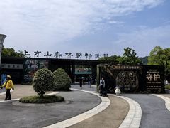 -苏州上方山国家森林公园