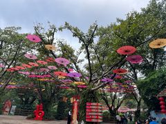 -广州长隆飞鸟乐园