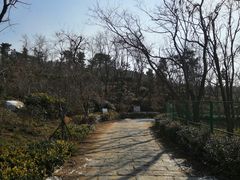 -浮山香苑