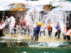 -九龙江国家森林公园