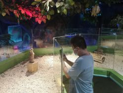-未来动物城动物主题公园(大悦城店)