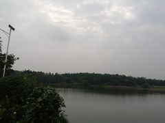 -象山森林公园
