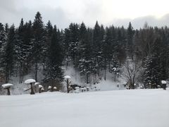 -雪谷
