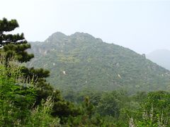 -北京鹫峰国家森林公园