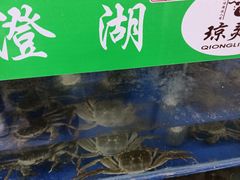 -阳澄湖大闸蟹·琼灵阁牌品牌连锁(吴中总店)
