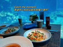 -涛·海底餐厅·美人鱼·自助餐·海底隧道(三亚海棠湾洲际度假酒店)