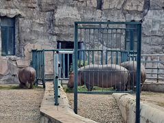 -哈尔滨北方森林动物园