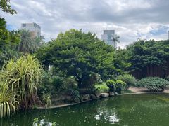 -九龙公园