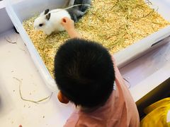 -东浩兰生上海世博展览馆