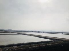 -莺歌海盐场