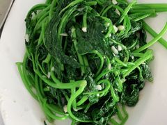 蒜蒜蓉炒红薯叶-红月湾海鲜饭店•沙滩海景(双月湾店)