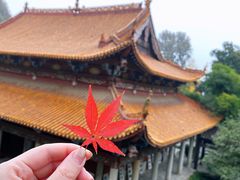 -岳麓山风景名胜区