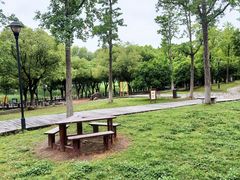 -苏州太湖湖滨国家湿地公园