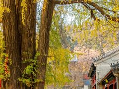 -潭柘寺景区