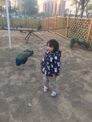 -萌宠亲子动物乐园(槐房万达店)