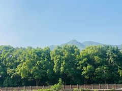 -井空里大峡谷