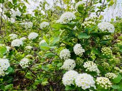 -长春公园(普阳街道)