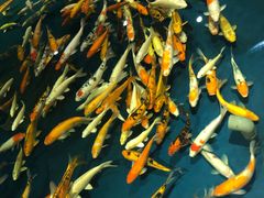 -青岛海底世界-水族馆