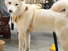 -LAN一见岚·精品蛋糕(琶洲保利店)