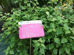 -广东中医药博物馆