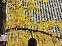 -金堂县云顶石城风景区