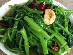 -东吴霸王兔(松青路店)