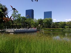 景点-西海子公园