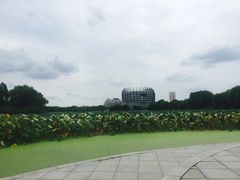 -东华大学(松江校区)