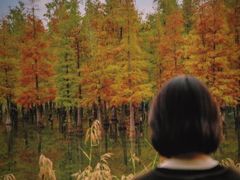 -白鹭湾湿地公园