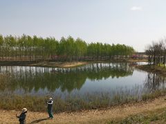 -东郊湿地公园